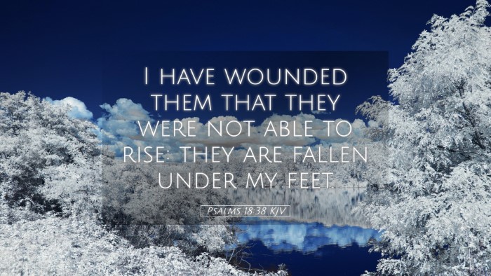 Picture 05 - Psalms 18:38 KJV Desktop Wallpaper - I have wounded them that they were not able to - Desktop Bible Verse Wallpaper