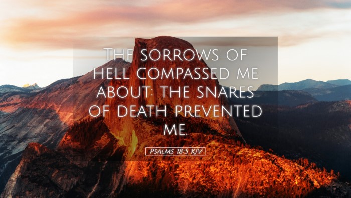 Picture 05 - Psalms 18:5 KJV Desktop Wallpaper - The sorrows of hell compassed me about: the - Desktop Bible Verse Wallpaper