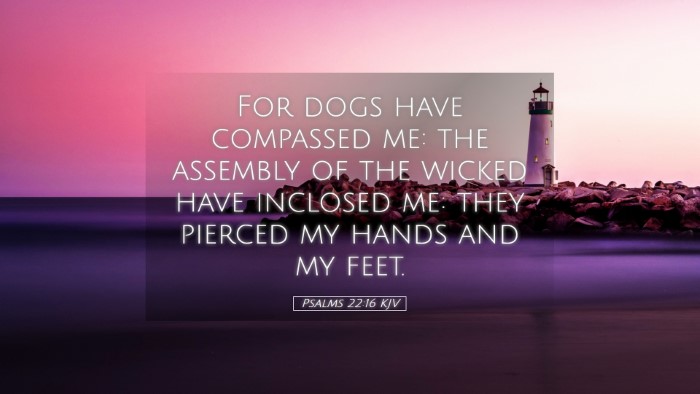 Picture 05 - Psalms 22:16 KJV Desktop Wallpaper - For dogs have compassed me: the assembly of the - Desktop Bible Verse Wallpaper