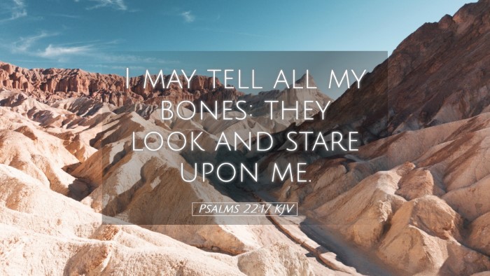 Picture 05 - Psalms 22:17 KJV Desktop Wallpaper - I may tell all my bones: they look and stare upon - Desktop Bible Verse Wallpaper