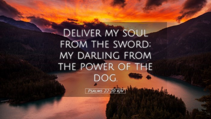 Picture 05 - Psalms 22:20 KJV Desktop Wallpaper - Deliver my soul from the sword; my darling from - Desktop Bible Verse Wallpaper