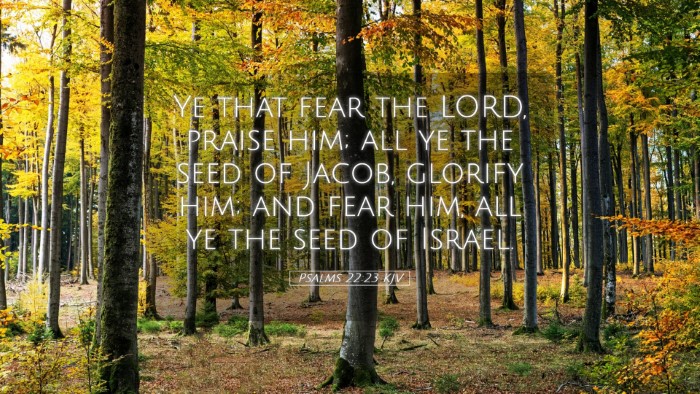 Picture 05 - Psalms 22:23 KJV Desktop Wallpaper - Ye that fear the LORD, praise him; all ye the - Desktop Bible Verse Wallpaper