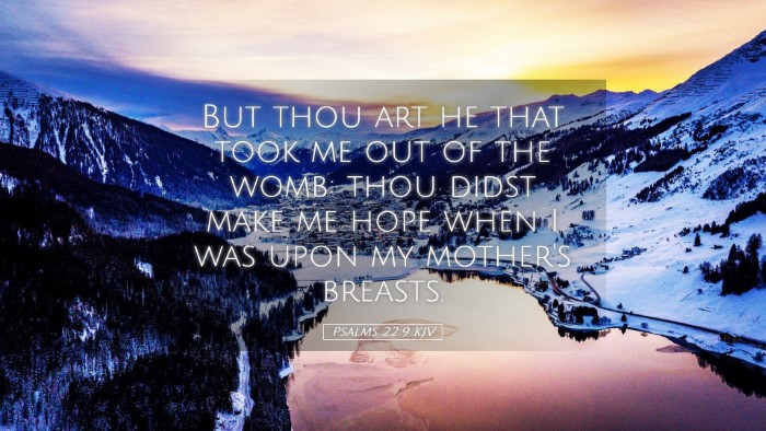 Picture 05 - Psalms 22:9 KJV Desktop Wallpaper - But thou art he that took me out of the womb: - Desktop Bible Verse Wallpaper