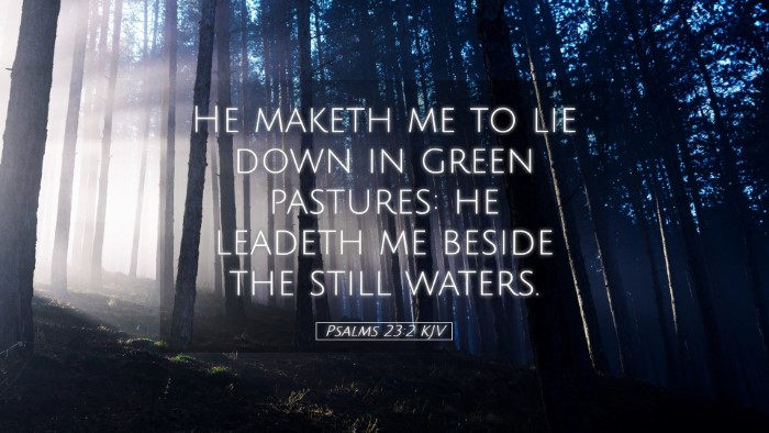 Picture 05 - Psalms 23:2 KJV Desktop Wallpaper - He maketh me to lie down in green pastures: he - Desktop Bible Verse Wallpaper