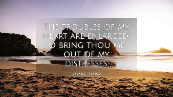 Picture 05 - Psalms 25:17 KJV Desktop Wallpaper - The troubles of my heart are enlarged: O bring - Desktop Bible Verse Wallpaper
