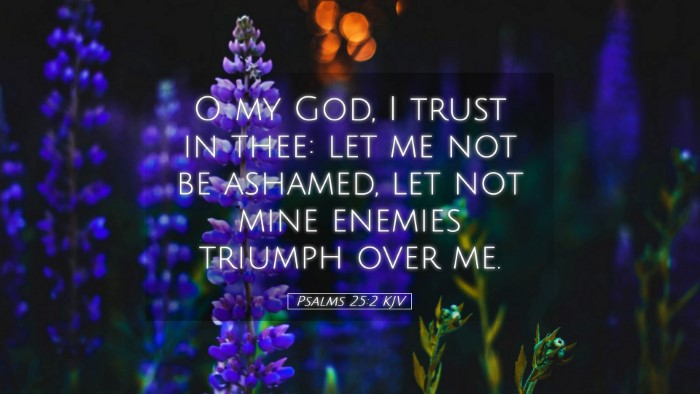 Picture 05 - Psalms 25:2 KJV Desktop Wallpaper - O my God, I trust in thee: let me not be ashamed, - Desktop Bible Verse Wallpaper