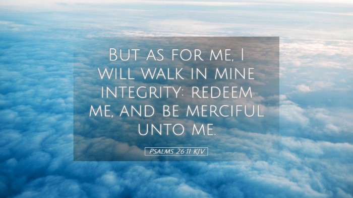 Picture 05 - Psalms 26:11 KJV Desktop Wallpaper - But as for me, I will walk in mine integrity: - Desktop Bible Verse Wallpaper