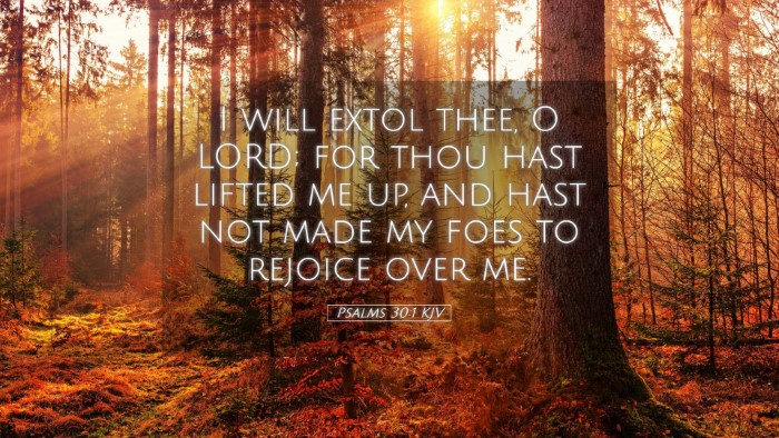 Picture 05 - Psalms 30:1 KJV Desktop Wallpaper - I will extol thee, O LORD; for thou hast lifted - Desktop Bible Verse Wallpaper