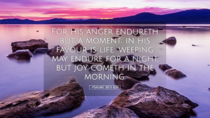 Picture 05 - Psalms 30:5 KJV Desktop Wallpaper - For his anger endureth but a moment; in his - Desktop Bible Verse Wallpaper