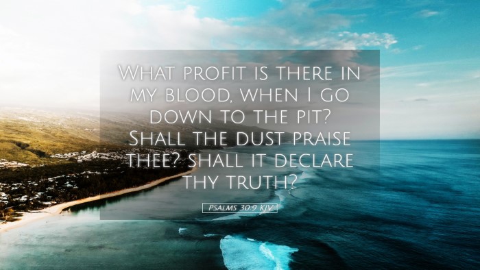 Picture 05 - Psalms 30:9 KJV Desktop Wallpaper - What profit is there in my blood, when I go down - Desktop Bible Verse Wallpaper