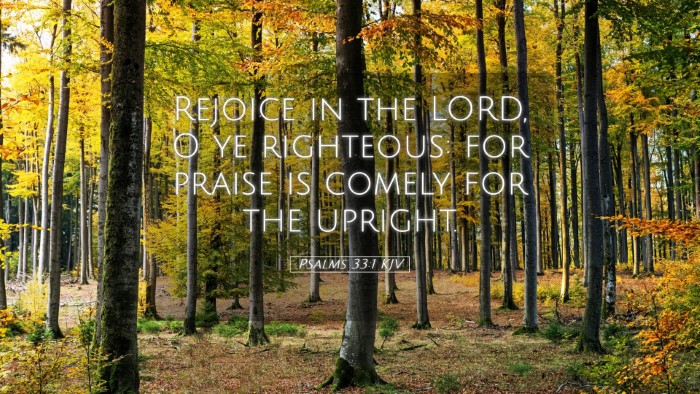 Picture 05 - Psalms 33:1 KJV Desktop Wallpaper - Rejoice in the LORD, O ye righteous: for praise - Desktop Bible Verse Wallpaper
