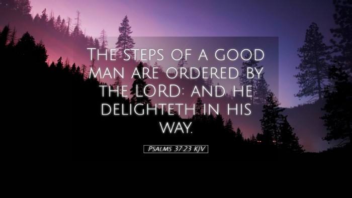 Picture 05 - Psalms 37:23 KJV Desktop Wallpaper - The steps of a good man are ordered by the LORD: - Desktop Bible Verse Wallpaper