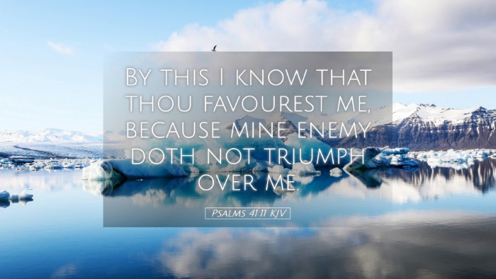 Picture 05 - Psalms 41:11 KJV Desktop Wallpaper - By this I know that thou favourest me, because - Desktop Bible Verse Wallpaper