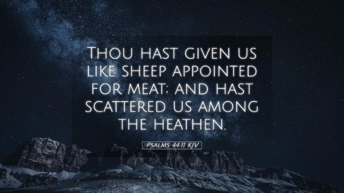 Picture 05 - Psalms 44:11 KJV Desktop Wallpaper - Thou hast given us like sheep appointed for meat; - Desktop Bible Verse Wallpaper