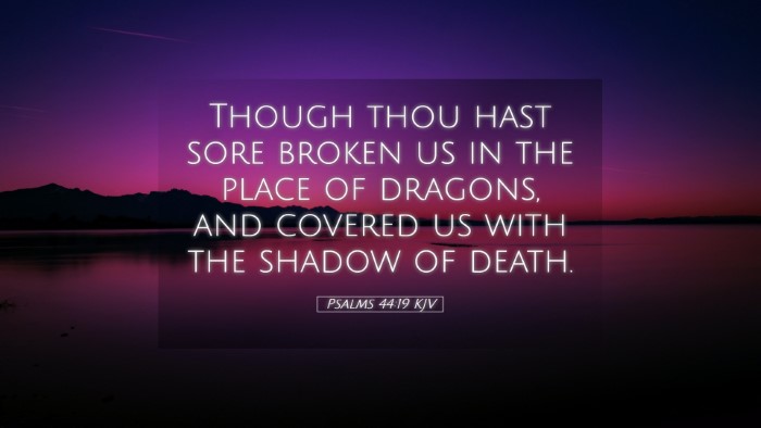 Picture 05 - Psalms 44:19 KJV Desktop Wallpaper - Though thou hast sore broken us in the place of - Desktop Bible Verse Wallpaper