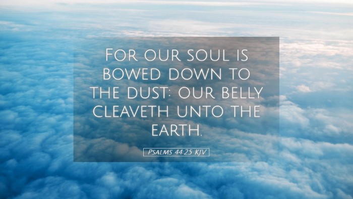 Picture 05 - Psalms 44:25 KJV Desktop Wallpaper - For our soul is bowed down to the dust: our belly - Desktop Bible Verse Wallpaper