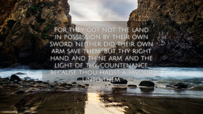 Picture 05 - Psalms 44:3 KJV Desktop Wallpaper - For they got not the land in possession by their - Desktop Bible Verse Wallpaper