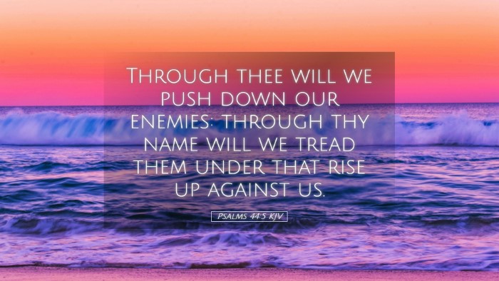 Picture 05 - Psalms 44:5 KJV Desktop Wallpaper - Through thee will we push down our enemies: - Desktop Bible Verse Wallpaper