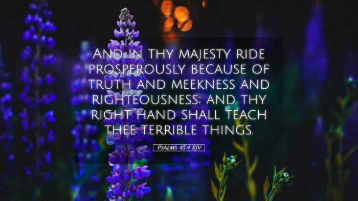 Picture 05 - Psalms 45:4 KJV Desktop Wallpaper - And in thy majesty ride prosperously because of - Desktop Bible Verse Wallpaper