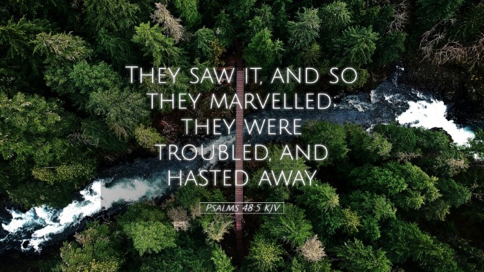 Picture 05 - Psalms 48:5 KJV Desktop Wallpaper - They saw it, and so they marvelled; they were - Desktop Bible Verse Wallpaper