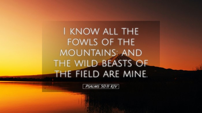 Picture 05 - Psalms 50:11 KJV Desktop Wallpaper - I know all the fowls of the mountains: and the - Desktop Bible Verse Wallpaper