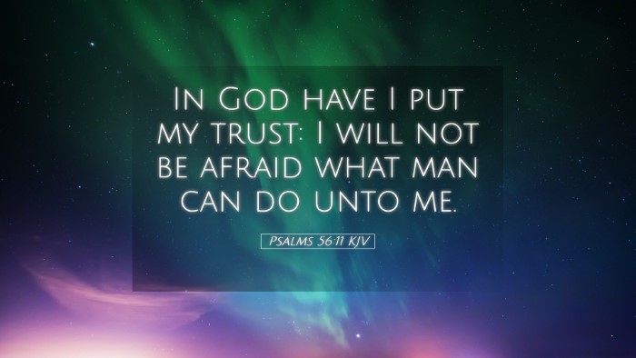 Picture 05 - Psalms 56:11 KJV Desktop Wallpaper - In God have I put my trust: I will not be afraid - Desktop Bible Verse Wallpaper