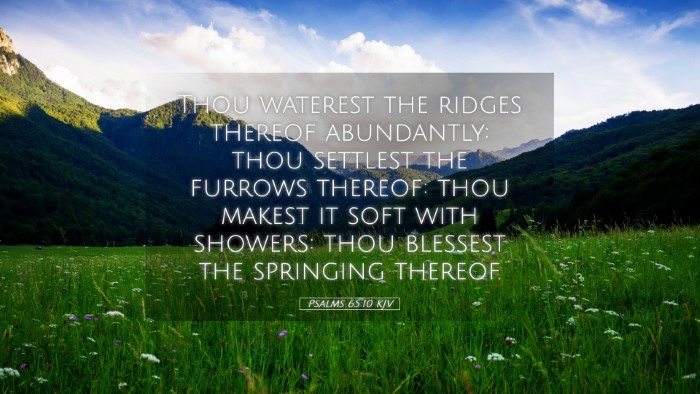 Picture 05 - Psalms 65:10 KJV Desktop Wallpaper - Thou waterest the ridges thereof abundantly: thou - Desktop Bible Verse Wallpaper