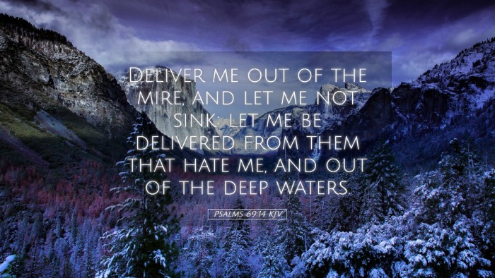 Picture 05 - Psalms 69:14 KJV Desktop Wallpaper - Deliver me out of the mire, and let me not sink: - Desktop Bible Verse Wallpaper