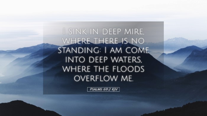 Picture 05 - Psalms 69:2 KJV Desktop Wallpaper - I sink in deep mire, where there is no standing: - Desktop Bible Verse Wallpaper