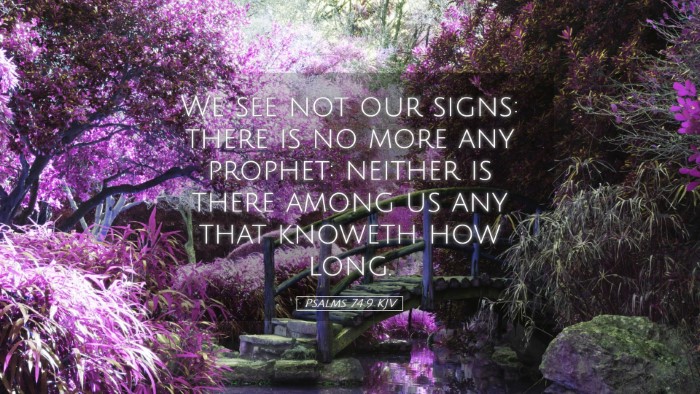 Picture 05 - Psalms 74:9 KJV Desktop Wallpaper - We see not our signs: there is no more any - Desktop Bible Verse Wallpaper