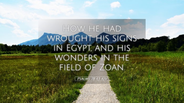 Picture 05 - Psalms 78:43 KJV Desktop Wallpaper - How he had wrought his signs in Egypt, and his - Desktop Bible Verse Wallpaper