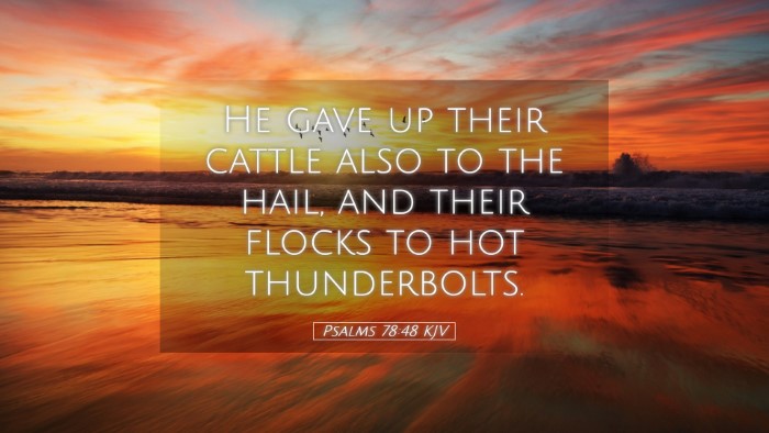 Picture 05 - Psalms 78:48 KJV Desktop Wallpaper - He gave up their cattle also to the hail, and - Desktop Bible Verse Wallpaper