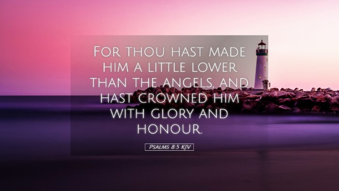 Picture 05 - Psalms 8:5 KJV Desktop Wallpaper - For thou hast made him a little lower than the - Desktop Bible Verse Wallpaper