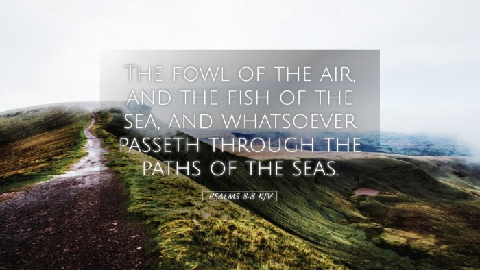 Picture 05 - Psalms 8:8 KJV Desktop Wallpaper - The fowl of the air, and the fish of the sea, and - Desktop Bible Verse Wallpaper
