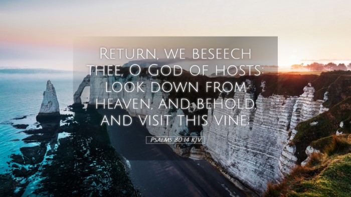 Picture 05 - Psalms 80:14 KJV Desktop Wallpaper - Return, we beseech thee, O God of hosts: look - Desktop Bible Verse Wallpaper