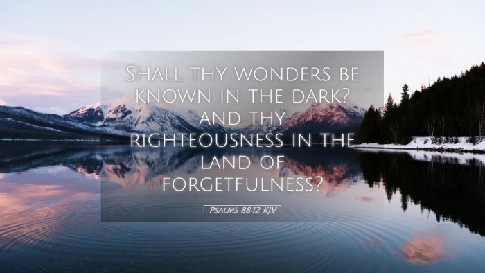 Picture 05 - Psalms 88:12 KJV Desktop Wallpaper - Shall thy wonders be known in the dark? and thy - Desktop Bible Verse Wallpaper