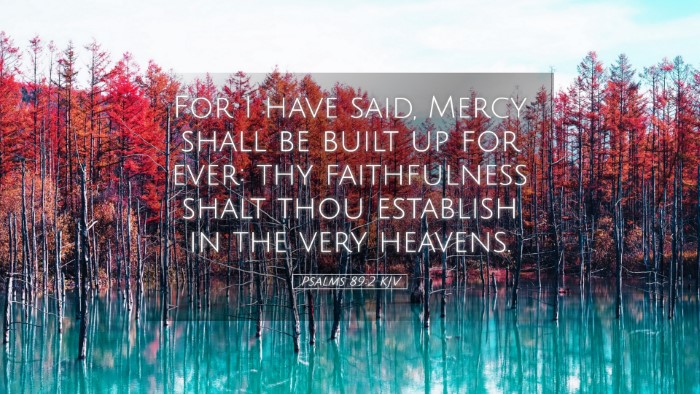 Picture 05 - Psalms 89:2 KJV Desktop Wallpaper - For I have said, Mercy shall be built up for - Desktop Bible Verse Wallpaper