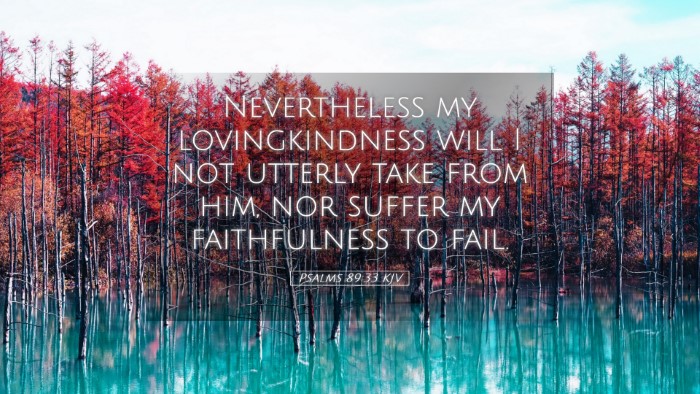 Picture 05 - Psalms 89:33 KJV Desktop Wallpaper - Nevertheless my lovingkindness will I not utterly - Desktop Bible Verse Wallpaper
