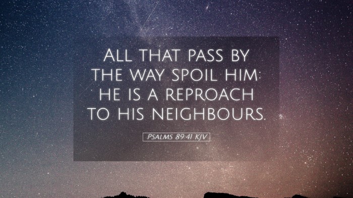 Picture 05 - Psalms 89:41 KJV Desktop Wallpaper - All that pass by the way spoil him: he is a - Desktop Bible Verse Wallpaper