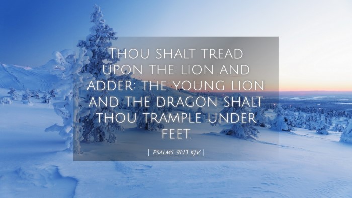 Picture 05 - Psalms 91:13 KJV Desktop Wallpaper - Thou shalt tread upon the lion and adder: the - Desktop Bible Verse Wallpaper