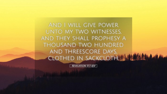 Picture 05 - Revelation 11:3 KJV Desktop Wallpaper - And I will give power unto my two witnesses, and - Desktop Bible Verse Wallpaper