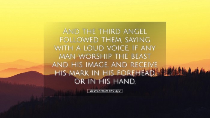Picture 05 - Revelation 14:9 KJV Desktop Wallpaper - And the third angel followed them, saying with a - Desktop Bible Verse Wallpaper