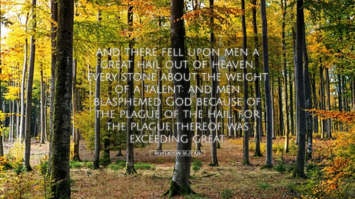 Picture 05 - Revelation 16:21 KJV Desktop Wallpaper - And there fell upon men a great hail out of - Desktop Bible Verse Wallpaper