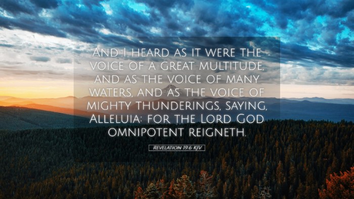 Picture 05 - Revelation 19:6 KJV Desktop Wallpaper - And I heard as it were the voice of a great - Desktop Bible Verse Wallpaper