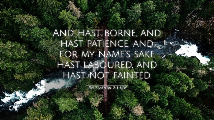 Picture 05 - Revelation 2:3 KJV Desktop Wallpaper - And hast borne, and hast patience, and for my - Desktop Bible Verse Wallpaper