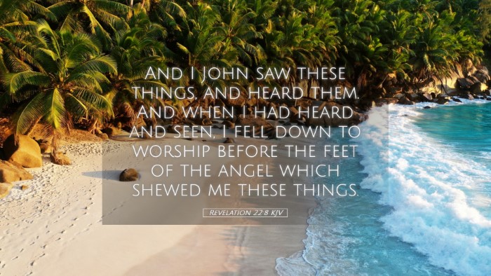 Picture 05 - Revelation 22:8 KJV Desktop Wallpaper - And I John saw these things, and heard them. And - Desktop Bible Verse Wallpaper