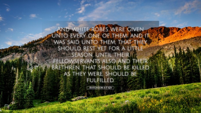Picture 05 - Revelation 6:11 KJV Desktop Wallpaper - And white robes were given unto every one of - Desktop Bible Verse Wallpaper