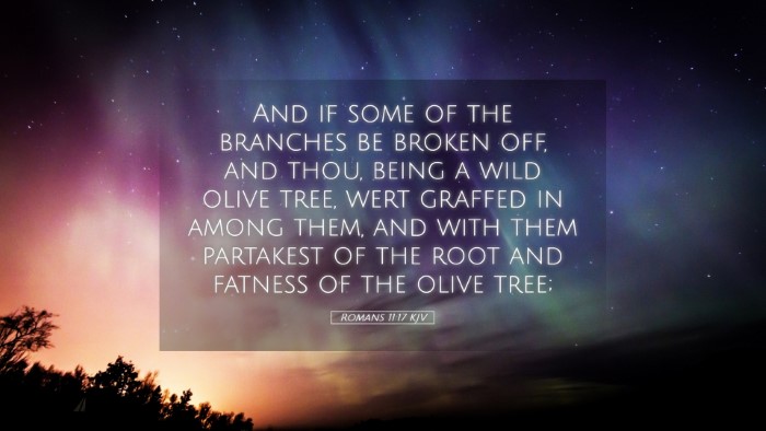 Picture 05 - Romans 11:17 KJV Desktop Wallpaper - And if some of the branches be broken off, and - Desktop Bible Verse Wallpaper