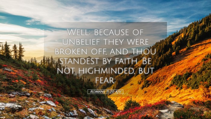 Picture 05 - Romans 11:20 KJV Desktop Wallpaper - Well; because of unbelief they were broken off, - Desktop Bible Verse Wallpaper