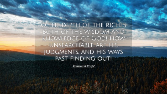 Picture 05 - Romans 11:33 KJV Desktop Wallpaper - O the depth of the riches both of the wisdom and - Desktop Bible Verse Wallpaper